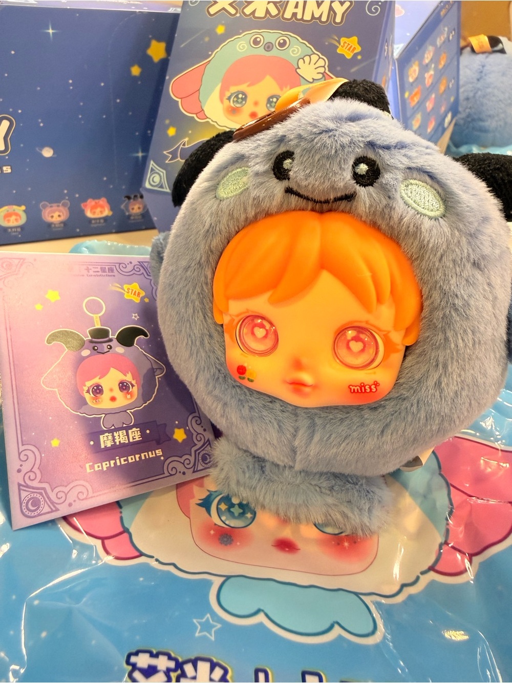 艾米AMY Capricorn Plush Blind Box